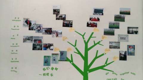 13.jpg 雷火电竞亚洲官网